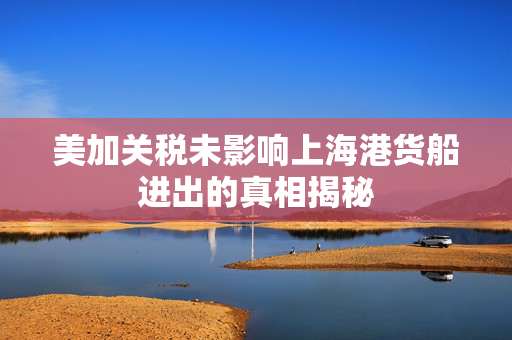 美加关税未影响上海港货船进出的真相揭秘