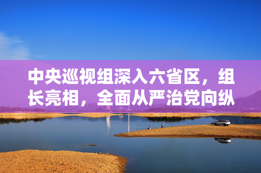 中央巡视组深入六省区，组长亮相，全面从严治党向纵深发展的党内监督强化行动