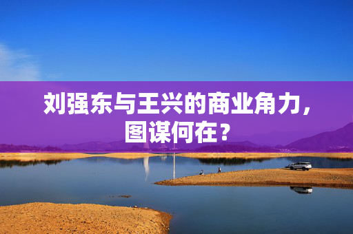 刘强东与王兴的商业角力，图谋何在？