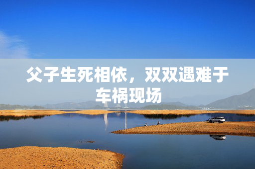 父子生死相依，双双遇难于车祸现场