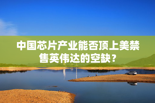 中国芯片产业能否顶上美禁售英伟达的空缺？