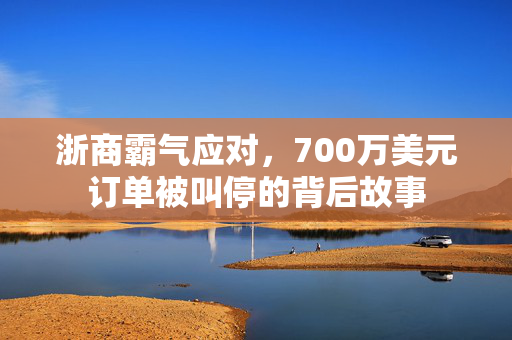 浙商霸气应对，700万美元订单被叫停的背后故事