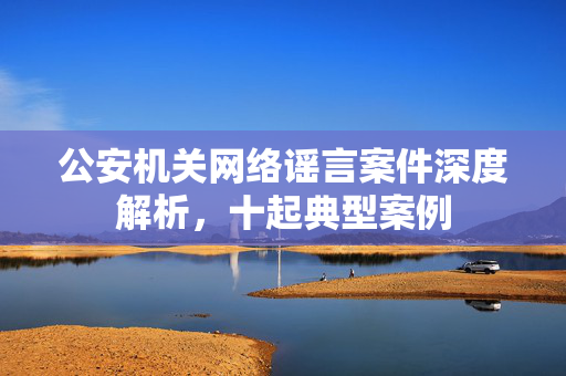 公安机关网络谣言案件深度解析，十起典型案例