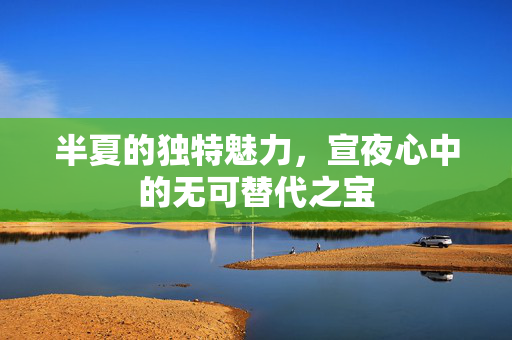 半夏的独特魅力，宣夜心中的无可替代之宝