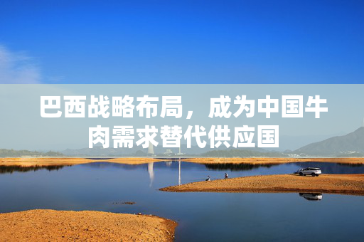 巴西战略布局，成为中国牛肉需求替代供应国