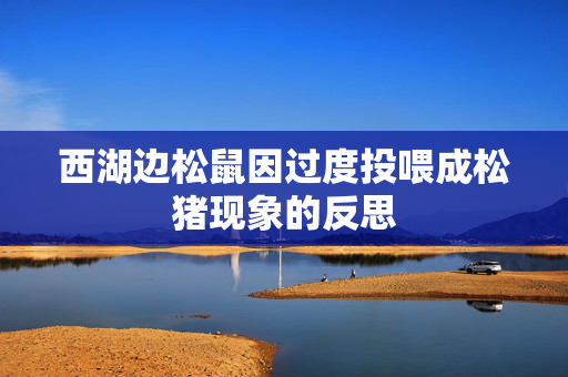 西湖边松鼠因过度投喂成松猪现象的反思