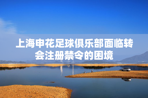 上海申花足球俱乐部面临转会注册禁令的困境