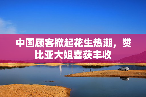 中国顾客掀起花生热潮，赞比亚大姐喜获丰收