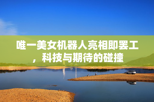唯一美女机器人亮相即罢工，科技与期待的碰撞