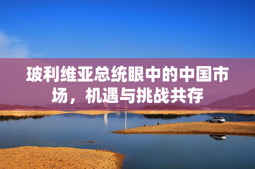 玻利维亚总统眼中的中国市场，机遇与挑战共存