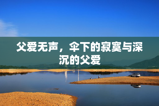 父爱无声，伞下的寂寞与深沉的父爱