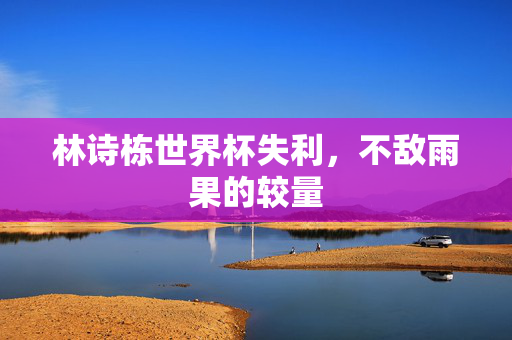 林诗栋世界杯失利，不敌雨果的较量