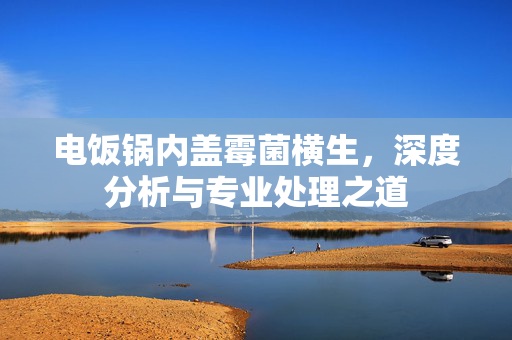 电饭锅内盖霉菌横生，深度分析与专业处理之道