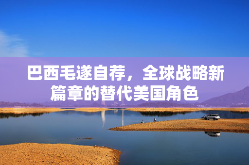 巴西毛遂自荐，全球战略新篇章的替代美国角色