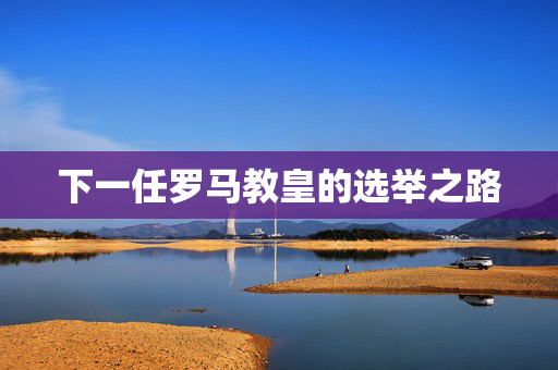 下一任罗马教皇的选举之路
