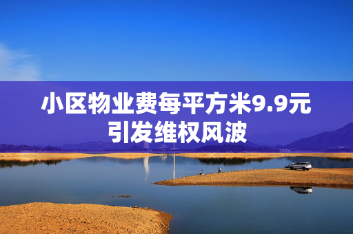 小区物业费每平方米9.9元引发维权风波