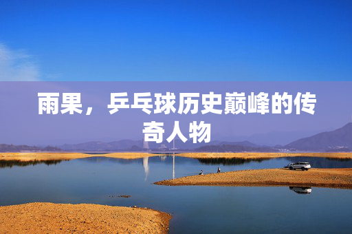 雨果，乒乓球历史巅峰的传奇人物