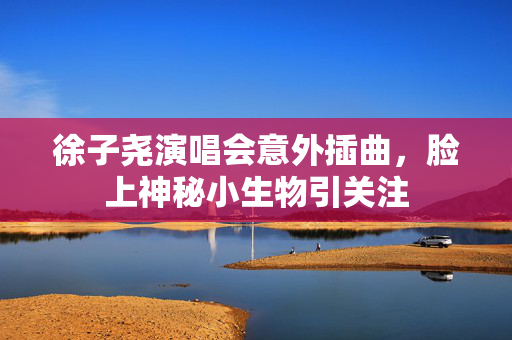徐子尧演唱会意外插曲，脸上神秘小生物引关注
