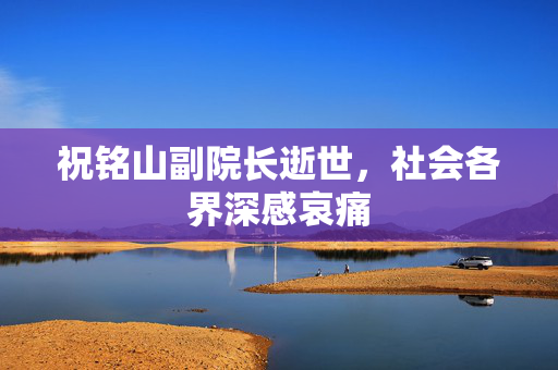 祝铭山副院长逝世，社会各界深感哀痛
