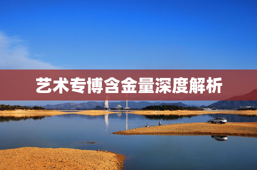 艺术专博含金量深度解析