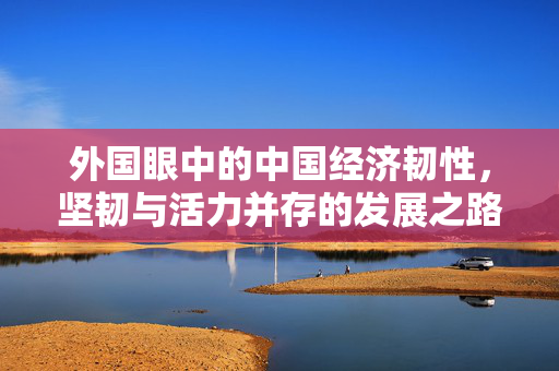 外国眼中的中国经济韧性，坚韧与活力并存的发展之路