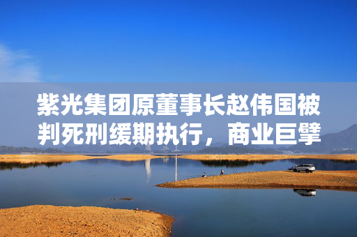 紫光集团原董事长赵伟国被判死刑缓期执行，商业巨擘的陨落