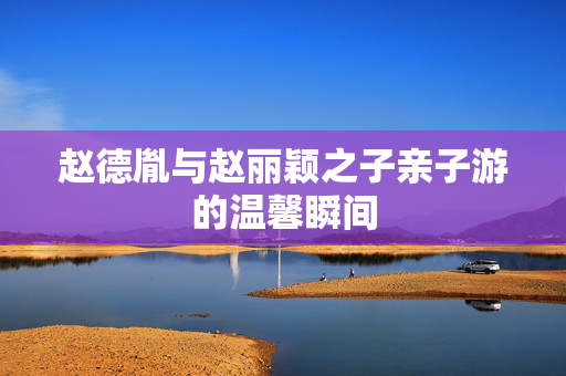 赵德胤与赵丽颖之子亲子游的温馨瞬间