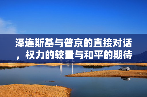 泽连斯基与普京的直接对话，权力的较量与和平的期待