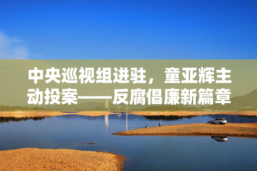 中央巡视组进驻，童亚辉主动投案——反腐倡廉新篇章的揭露