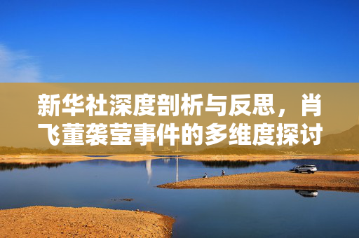 新华社深度剖析与反思，肖飞董袭莹事件的多维度探讨