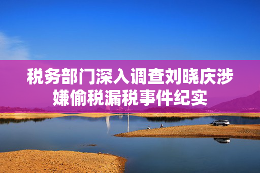 税务部门深入调查刘晓庆涉嫌偷税漏税事件纪实