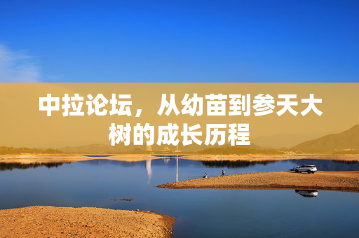 中拉论坛，从幼苗到参天大树的成长历程