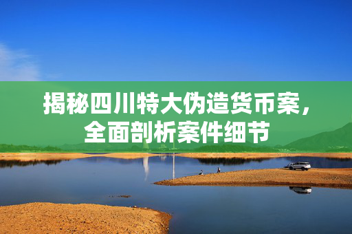 揭秘四川特大伪造货币案，全面剖析案件细节