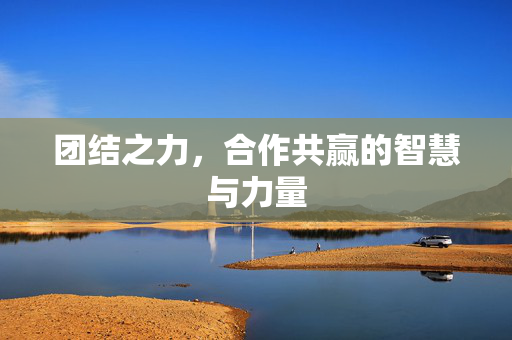团结之力，合作共赢的智慧与力量