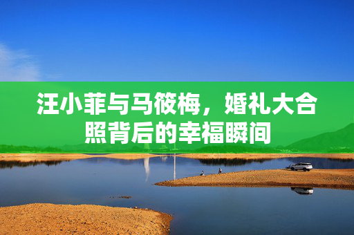 汪小菲与马筱梅，婚礼大合照背后的幸福瞬间