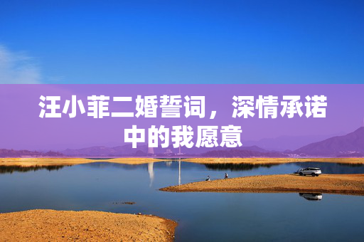 汪小菲二婚誓词，深情承诺中的我愿意