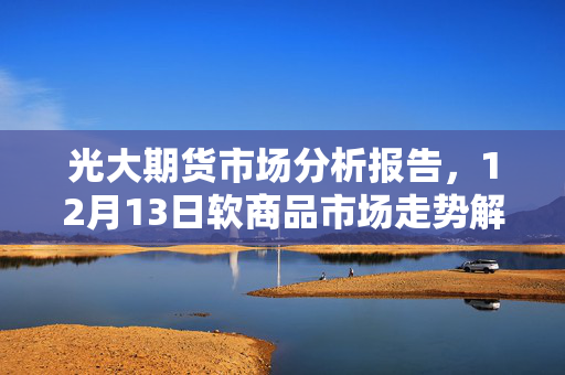 光大期货市场分析报告，12月13日软商品市场走势解读