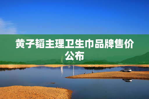 黄子韬主理卫生巾品牌售价公布