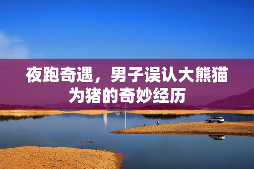 夜跑奇遇，男子误认大熊猫为猪的奇妙经历