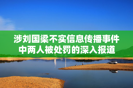 涉刘国梁不实信息传播事件中两人被处罚的深入报道