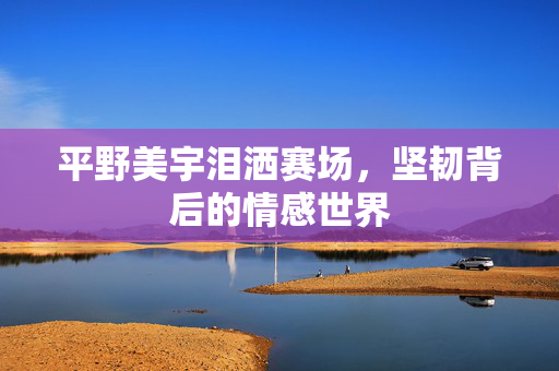 平野美宇泪洒赛场，坚韧背后的情感世界