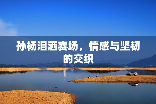 孙杨泪洒赛场，情感与坚韧的交织