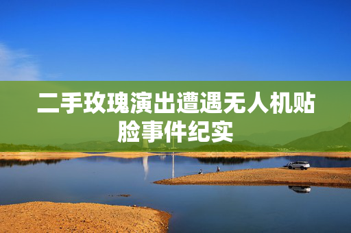 二手玫瑰演出遭遇无人机贴脸事件纪实