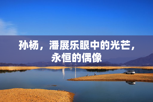 孙杨，潘展乐眼中的光芒，永恒的偶像