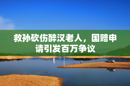 救孙砍伤醉汉老人，国赔申请引发百万争议