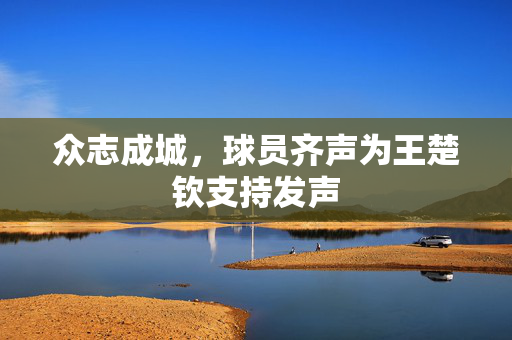 众志成城，球员齐声为王楚钦支持发声