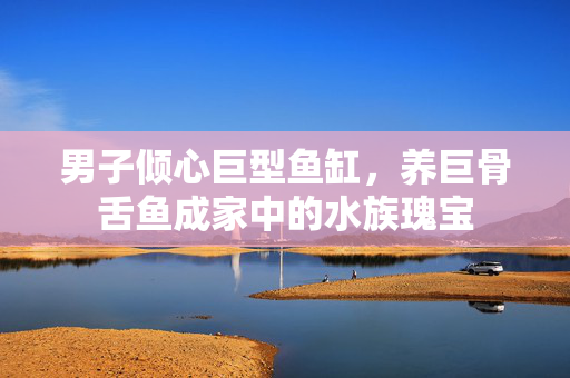 男子倾心巨型鱼缸，养巨骨舌鱼成家中的水族瑰宝