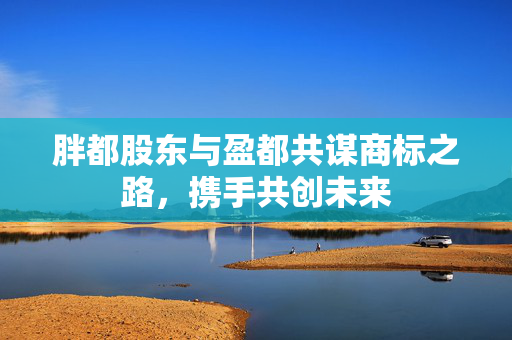 胖都股东与盈都共谋商标之路，携手共创未来