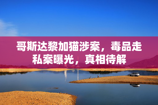 哥斯达黎加猫涉案，毒品走私案曝光，真相待解