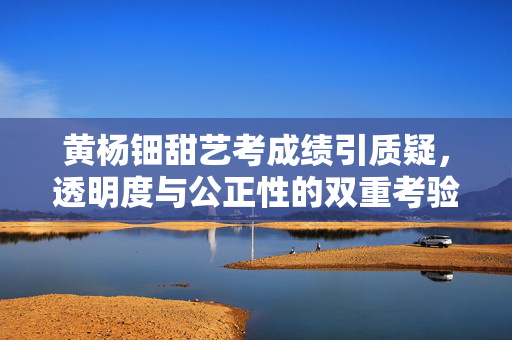 黄杨钿甜艺考成绩引质疑，透明度与公正性的双重考验
